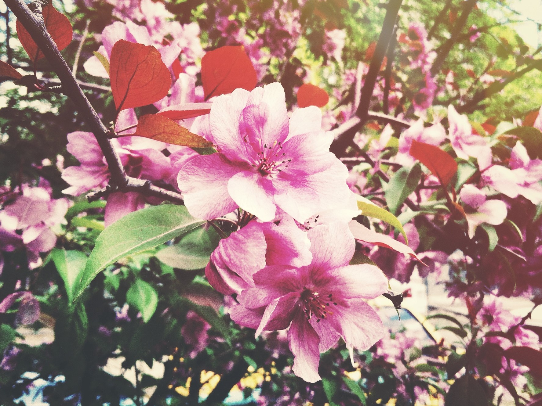 Тепло и солнце возвращаются в Волгоградскую область