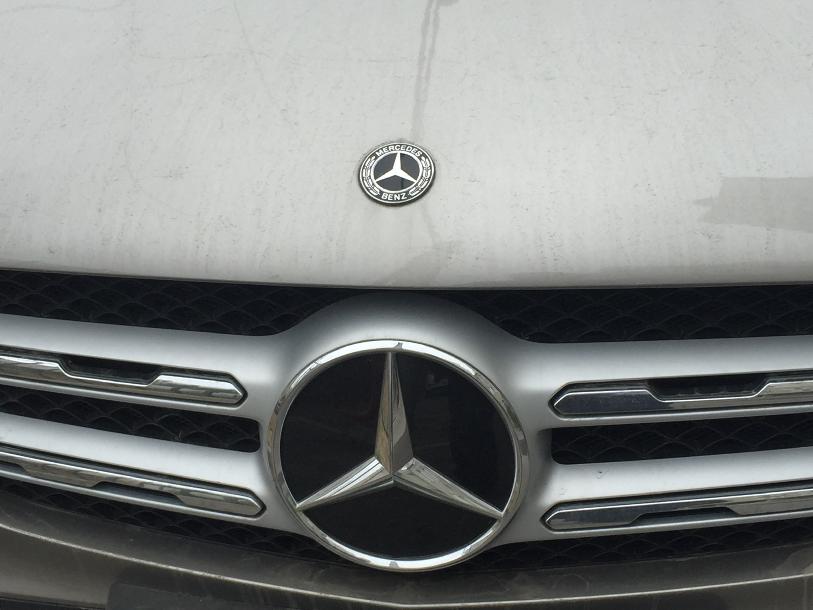 Волгоградская «Справедливая Россия» продвигает армянский бизнес в политику 