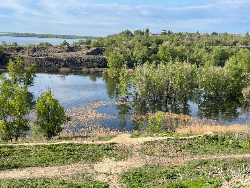 С 15 августа официально разрешат убийства в Волгоградской области