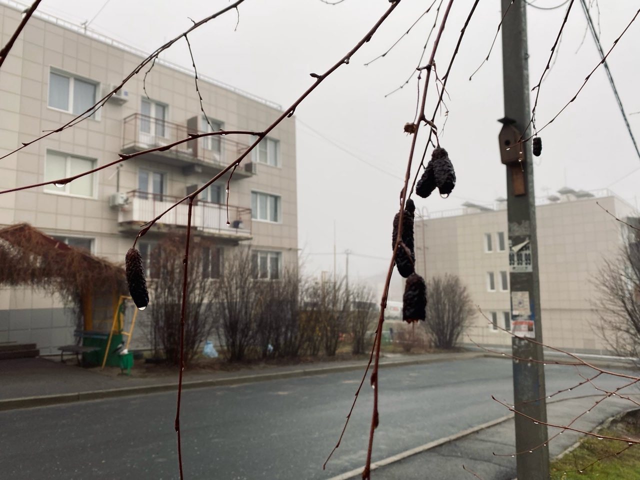 Туман в Волгограде сменится мокрым снегом к концу недели