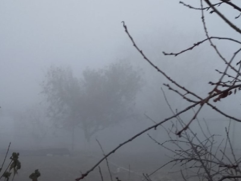 Снег, туман и потепление до +7 пришли в Волгоградскую область 18 марта