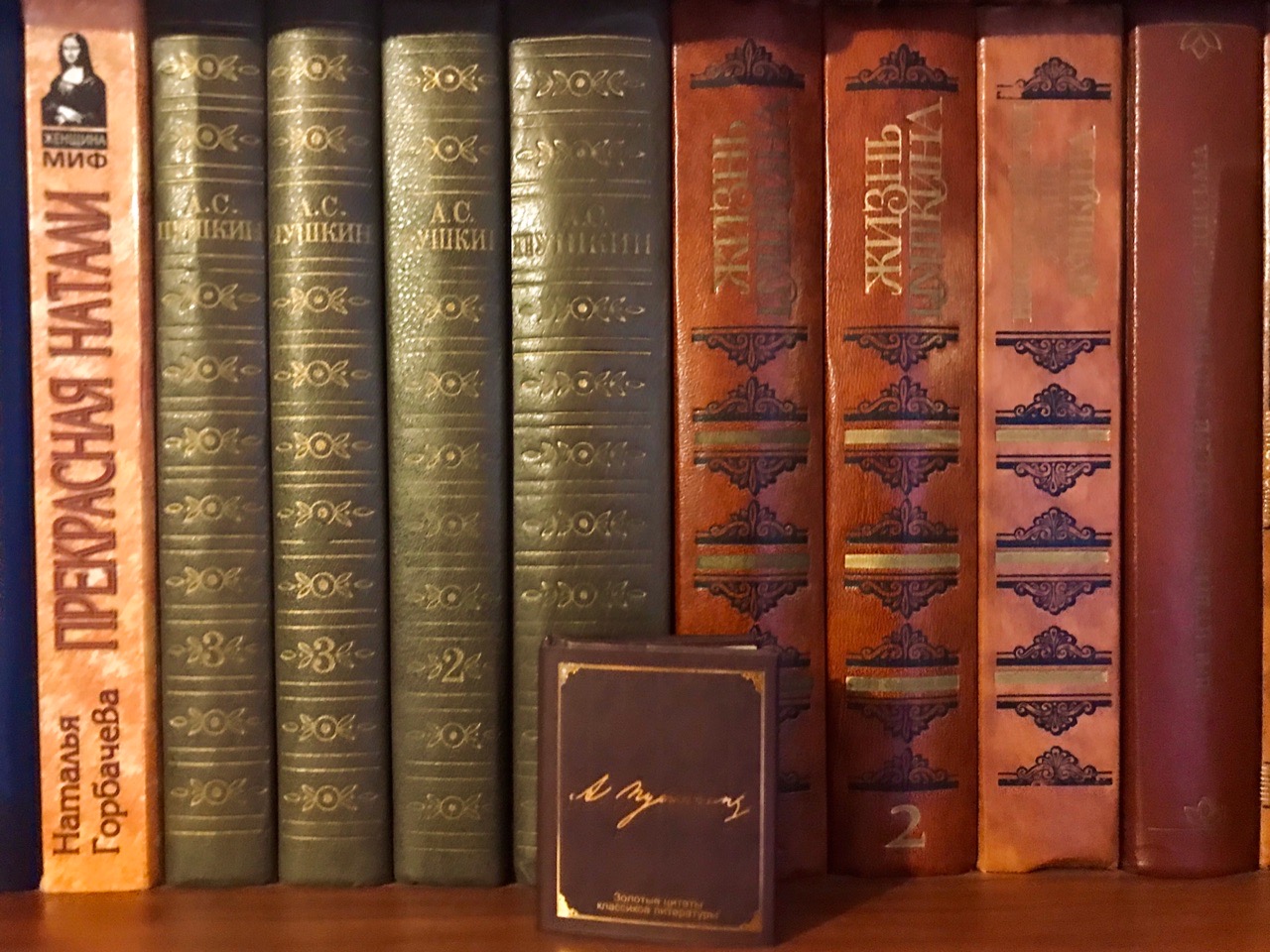 И споют, и зачитают: праздничное присвоение Центральной городской библиотеке Волгограда имени Маргариты Агашиной