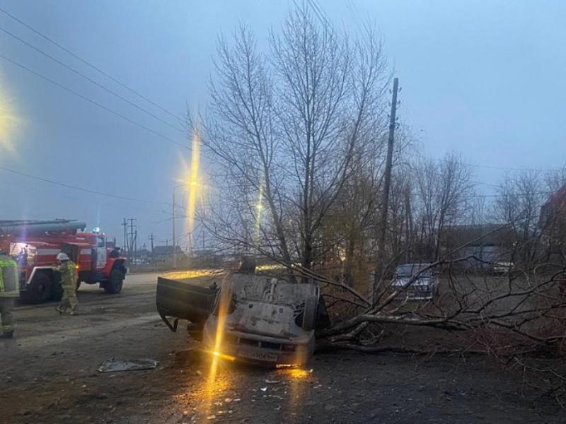 Волгоградец на «двенадцатой» влетел в дерево и скончался 
