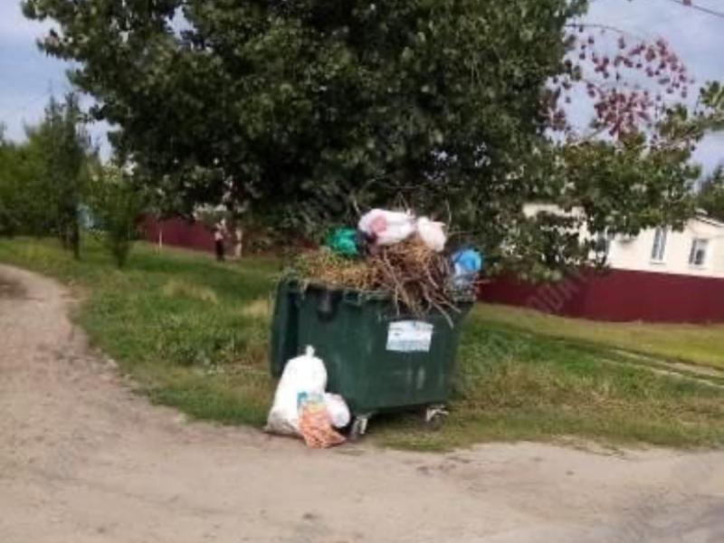 Жители Волгограда страдают от не вывезенного мусора